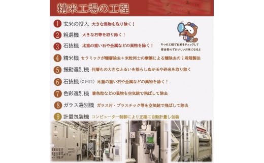gg-106 お米 【無洗米】岡山県産きぬむすめ100%（令和7年産）10kg